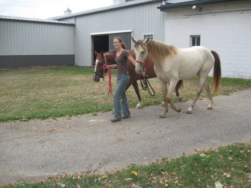 Property photo 39 - 80 Acres Offered in 4 Tracts - Horse Farm